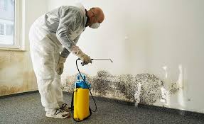 Best Mold Removal for HVAC Installations  in Ansonia, CT