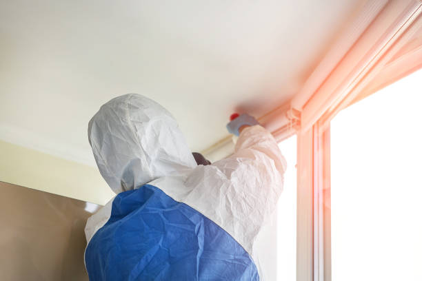 Best Emergency Mold Remediation  in Ansonia, CT